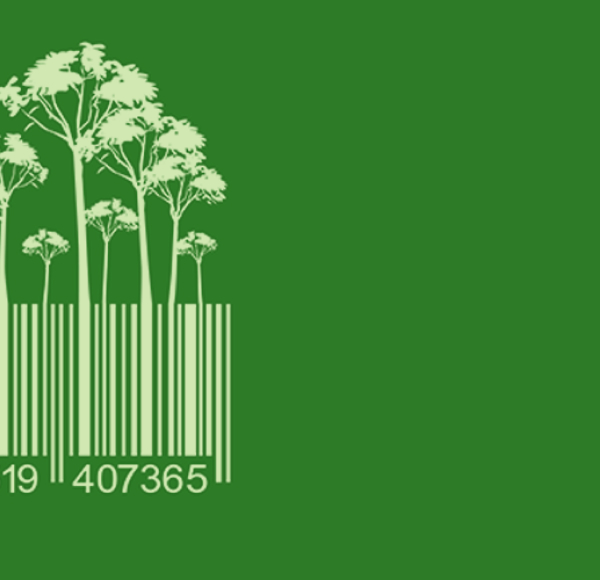 Tipos de etiquetado de embalaje ecológico