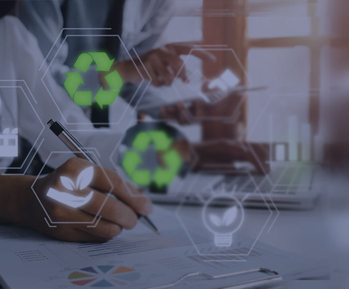 Sistemas Colectivos de Responsabilidad Ampliada del Productor