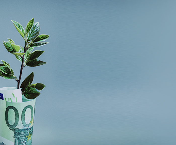 PERTE de economía circular. Todo lo que necesitas saber