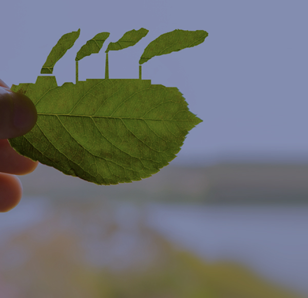 Evaluación de Impacto Ambiental (EIA)