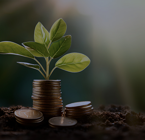 Finanzas sostenibles, por qué su empresa debería conocerlas