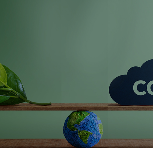 Proveedores sostenibles