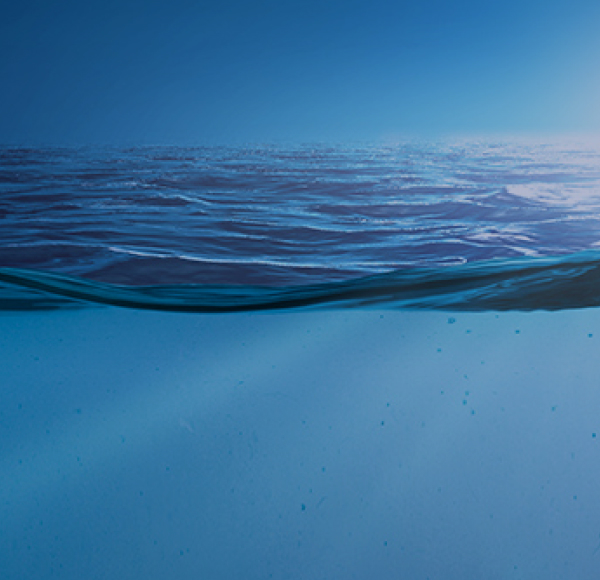 <p>Gestión Sostenible del agua</p>
