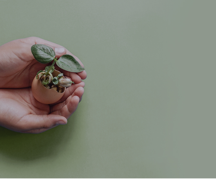 <p>Biorresiduos: qué son y cuál es su tratamiento</p>
