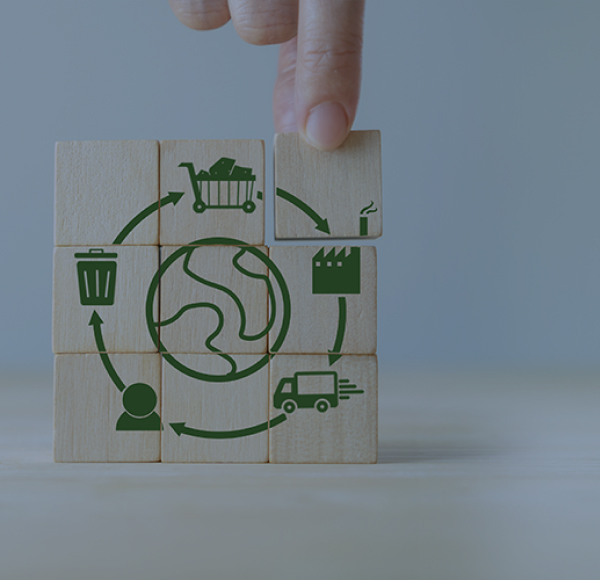 <p>Cadena de suministro circular: fases, procesos y objetivos</p>
