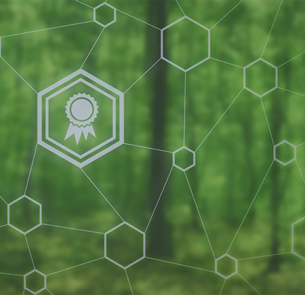 <p>Certificación de sostenibilidad: el sello de calidad de la acción social y ambiental corporativas</p>
