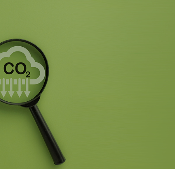 <p>Cómo gestionar la huella de carbono de los envases</p>
