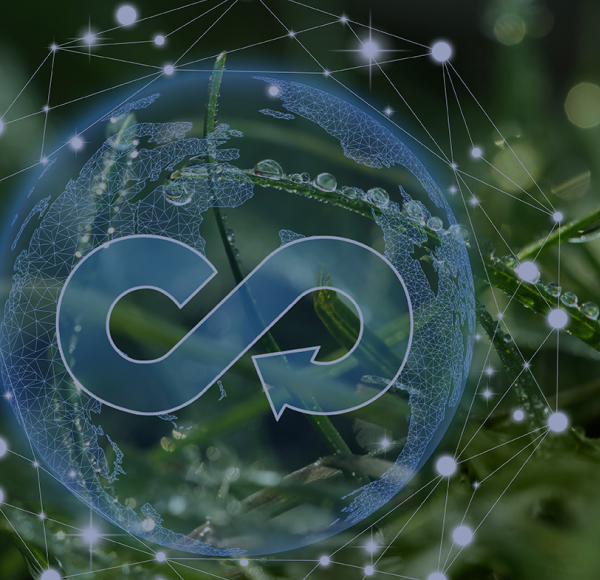 <p>Cursos de economía circular online</p>
