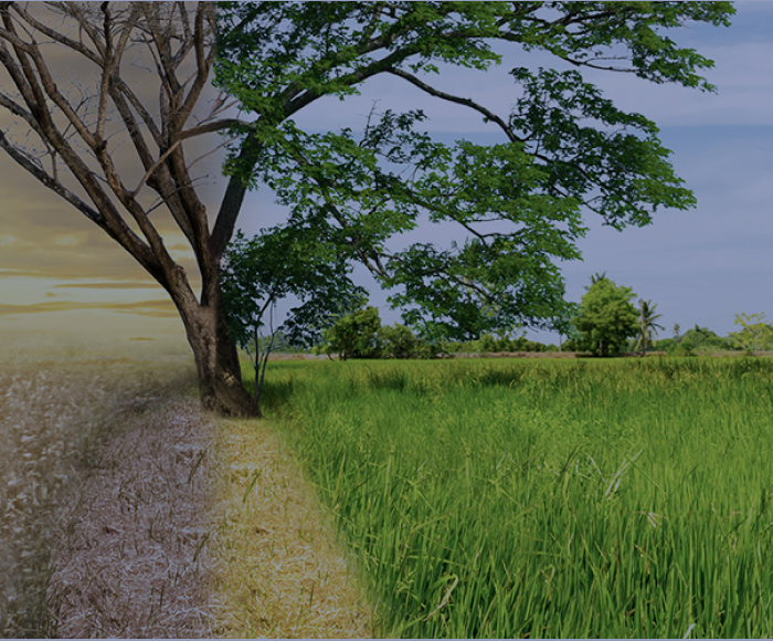 <p>EMAS. El reglamento comunitario para conocer el impacto ambiental de una actividad empresarial</p>
