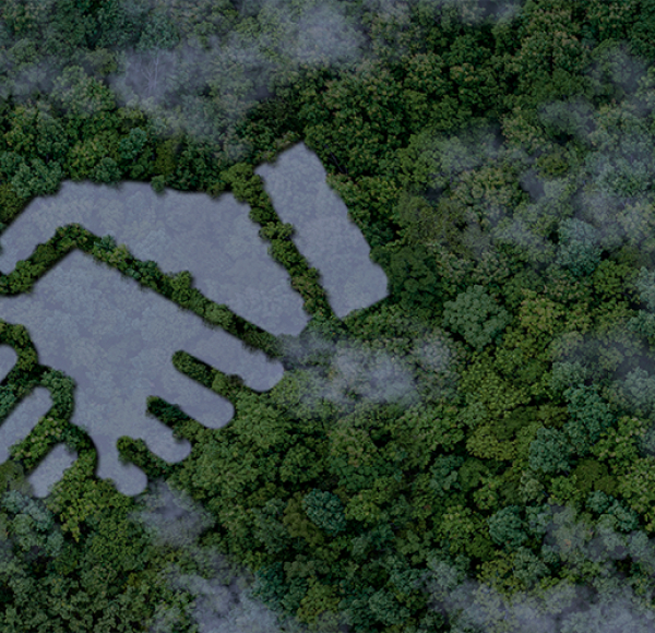 <p>La RSC en las empresas</p>
