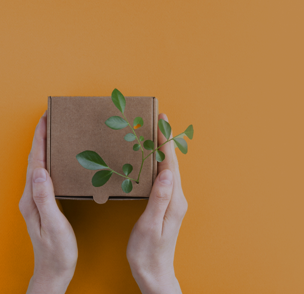 <p>LessPack: menos envases, más consumo responsable</p>
