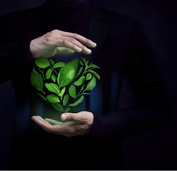 <p>La era de la sostenibilidad corporativa</p>
