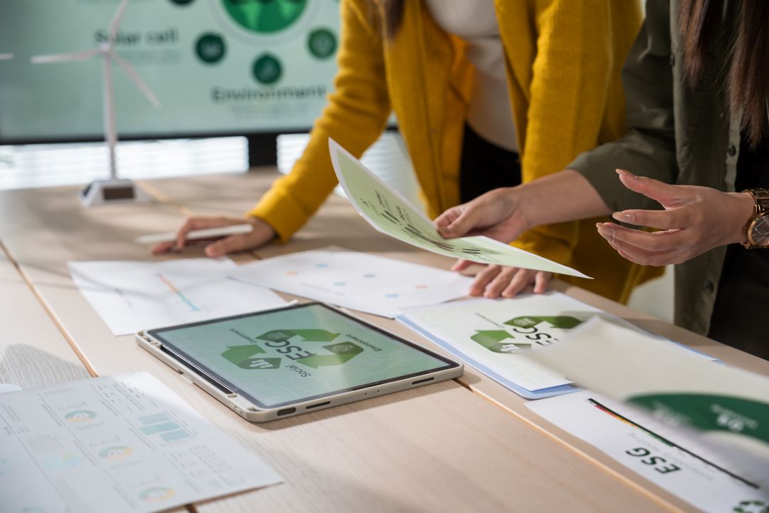 Objetivos de la Economía Circular en el sector empresarial