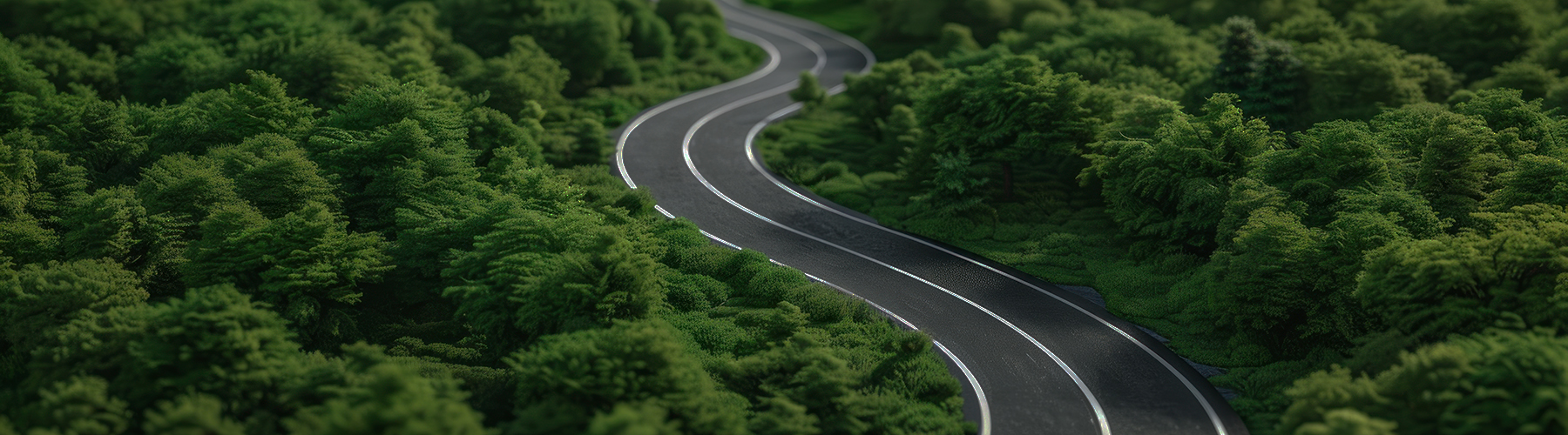 Estrategia sostenibilidad empresa