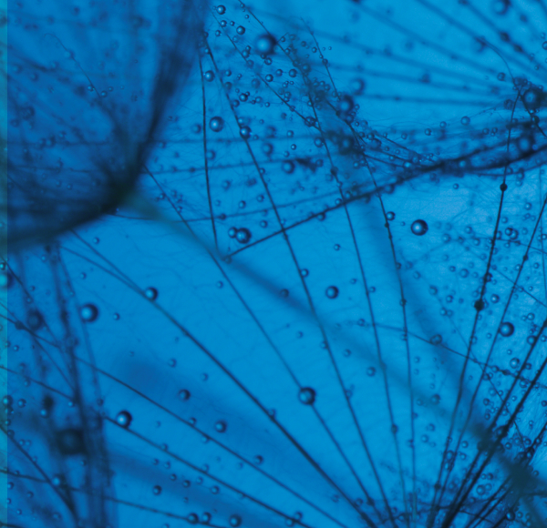 Presente y futuro del biodiseño