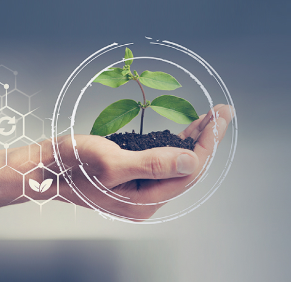 <p>¿Qué diferencia hay entre ética empresarial y responsabilidad social corporativa?</p>
